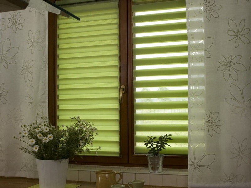 как правильно выбрать роллеты на окна